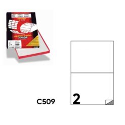 Etichette Autoadesive in fogli A4 C509 - 2 etichette/foglio 210x148mm