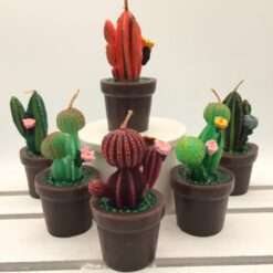 Bomboniera Candela Cactus Matrimonio Compleanno Stock 12 Pezzi