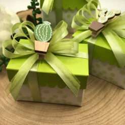 Mollettina Cactus 3x4,5 con Confezione