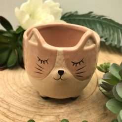 Bomboniera Battesimo Comunione Gatto Portapiantina Rosa in Ceramica - AD Emozioni