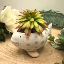 Bomboniera Battesimo Comunione Pesce Portapiantina Bianco in Ceramica 10x5 - AD Emozioni