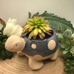 Bomboniera Battesimo Comunione Tartaruga Portapiantina Blu in Ceramica 13x9 - AD Emozioni