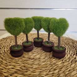 STOCK 5 PZ Alberello Cuore - Home Design