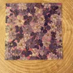 Stock 6pz Foglio Decorativo con Fiori Essiccati Viola SBL05B - Hobbistica, Fai Da Te