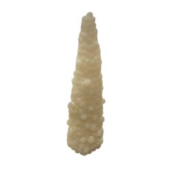 Candela Albero Bianco